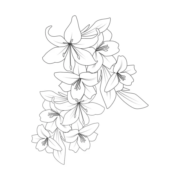 Doodle Lily Flower Coloring Page Drawing Line Art Drawing Printing — 스톡 벡터