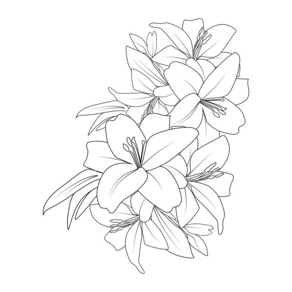 doodle lily flower coloring page drawing with line art drawing for printing element