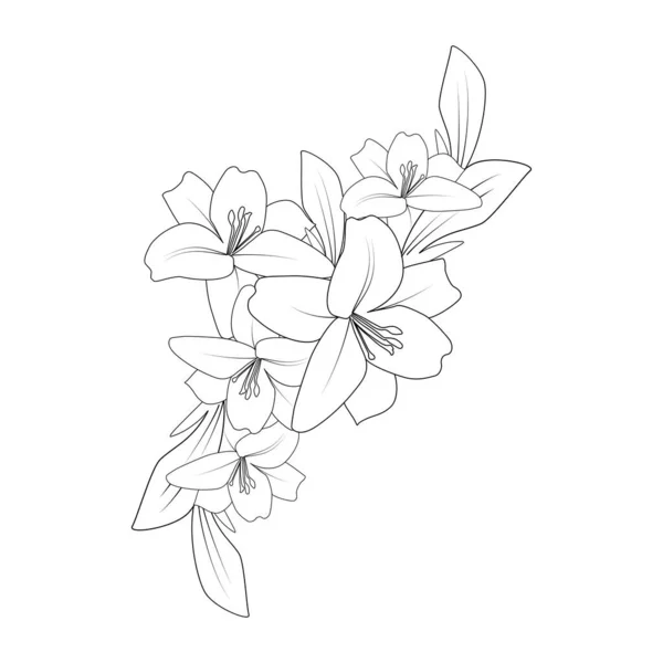 Lily Line Drawing Vector Flower Coloring Page Drawing Printing Element — Διανυσματικό Αρχείο