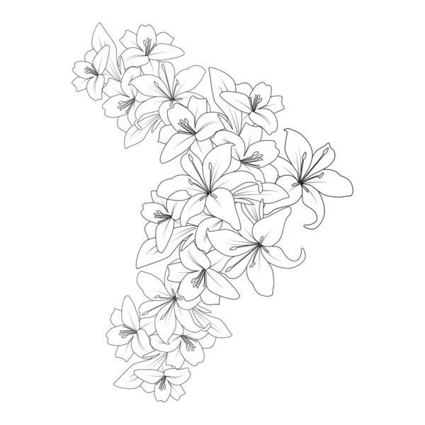 Doodle Lily Flower Coloring Page Drawing Line Art Drawing Printing ストックベクター