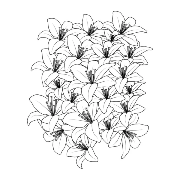 Black White Background Doodle Lily Flower Decorative Line Art Drawing - Stok Vektor