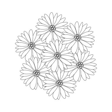 Papatya çiçekleri beyaz arkaplanda izole edilmiş siyah beyaz ana hatlı vektör çizimi