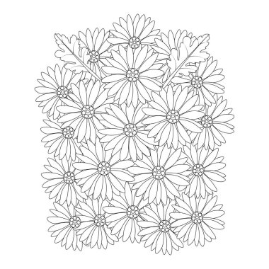 Papatya çiçekleri beyaz arkaplanda izole edilmiş siyah beyaz ana hatlı vektör çizimi