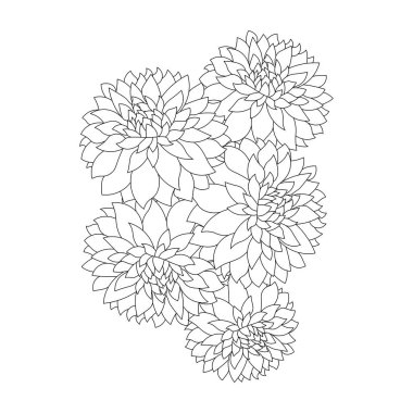 Dahlia ya da Dalia çiçek boyama sayfası vektör illüstrasyonları elde çizim çizimi çizim tarzı sanat 