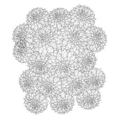 Dahlia ya da Dalia çiçek boyama sayfası vektör illüstrasyonları elde çizim çizimi çizim tarzı sanat 