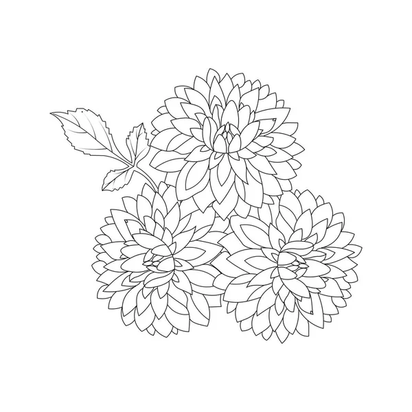 Dahlia Dalia Flower Coloring Page Vector Illustrations Hand Drawn Sketch — 图库矢量图片