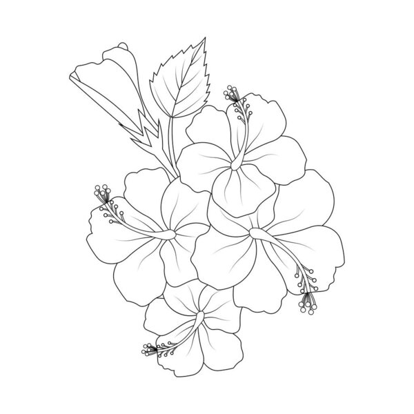 Hawaiian hibiscus flower vector line art design on black and white background for coloring page
