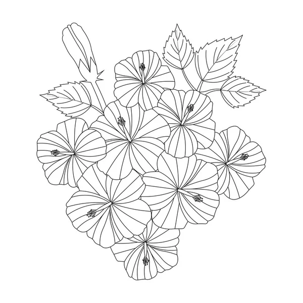 China Rose Flower Vector Line Art Design Black White Background — Stock Vector