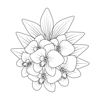 orchid flower outline line coloring page of easy sketches hand drawing design