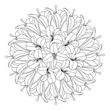beautiful flowers coloring page with pencil sketch drawing detailed in vector graphic of line art
