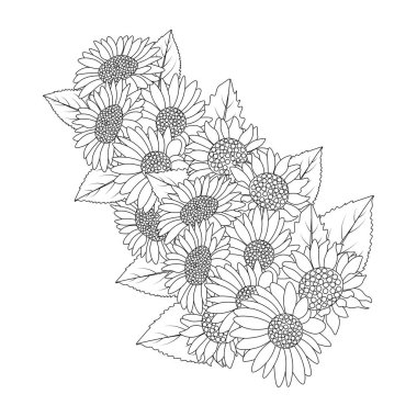 sunflower coloring page pencil drawing of vector design and blooming flower of doodle design style of line art