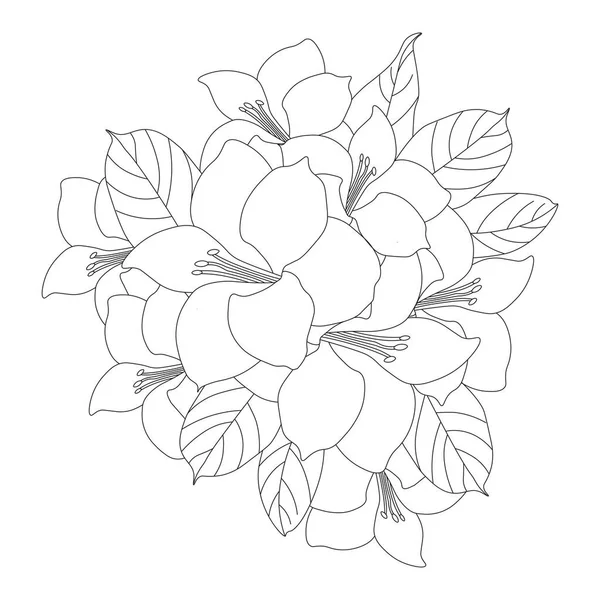 Flower Coloring Page Pencil Sketch Drawing Vector Graphic Blooming Petal — ストックベクタ