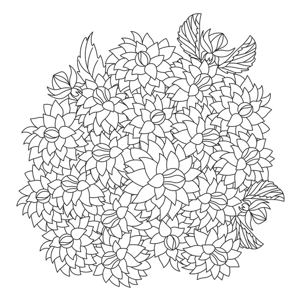 dahlia flower illustration with pencil stroke in doodle art design of coloring page design