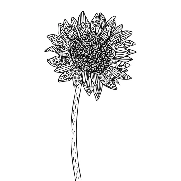 Zentangle Sunflower Coloring Page Decorative Flower Background Design Illustration — Stockvektor