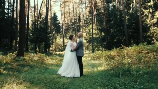 Novomanželé. Krásná mladá nevěsta a ženich procházejí krásným lesem. Svatební pár. Šťastnou rodinu. Muž a zamilovaná žena. Nevěsta v... — Stock video