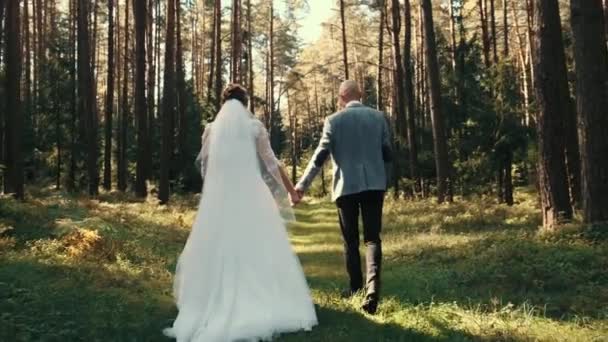 Novomanželé. Krásná mladá nevěsta a ženich procházejí krásným lesem. Svatební pár. Šťastnou rodinu. Muž a zamilovaná žena. Nevěsta v... — Stock video