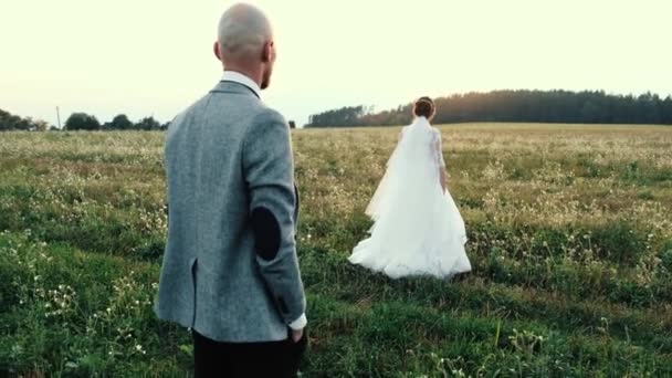 Pasgetrouwden. Een mooie jonge bruid en bruidegom lopen in het veld. Een echtpaar. Een gelukkig gezin. Een man en een vrouw die verliefd zijn. Een bruid in een prachtige — Stockvideo