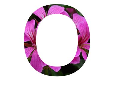 Pembe pelargonyum çiçeğinden yapılmış alfabenin O harfi, beyaz arkaplanda izole edilmiş.