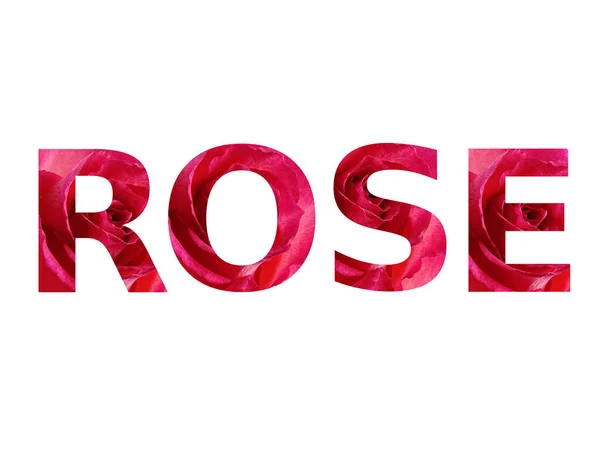 Text Rose Mit Rosen Buchstaben Mit Der Farbe Rot Und — Stockfoto