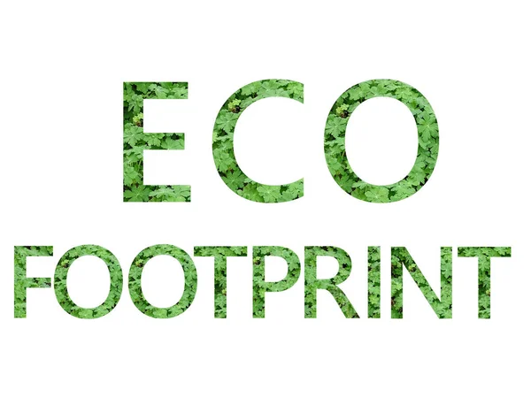 Eco Voetafdruk Tekst Gemaakt Met Groene Letters Van Geranium Geïsoleerd — Stockfoto