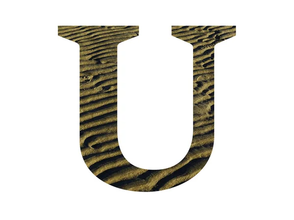 Буква Алфавита Сделаны Хребтами Пляжа Цвет Желтый Коричневый Изолированные Белом — стоковое фото