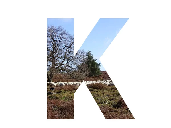 Letter Alphabet Made Herd Sheep Heather Blue Sky Colors Brown Stock ...