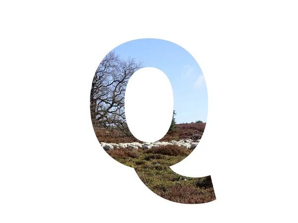 字母Q 字母Q 字母Q 字母Q 字母Q 字母Q 字母Q 字母Q 字母Q 字母Q — 图库照片