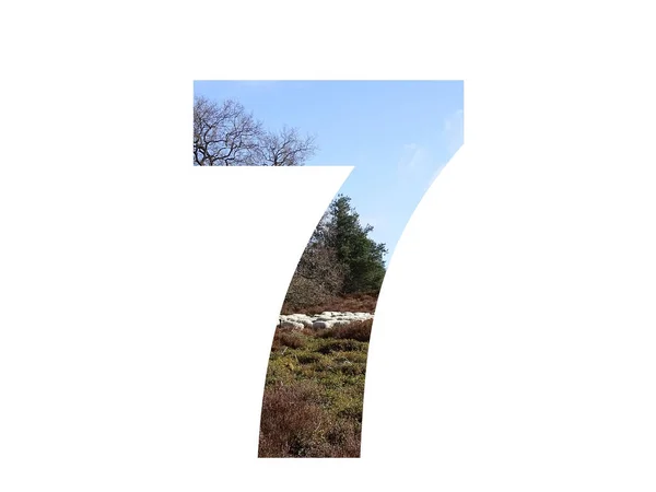 Alfabenin Sayısı Fundalıkta Bir Koyun Sürüsü Mavi Gökyüzü Ile Kahverengi — Stok fotoğraf
