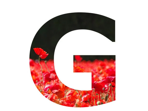Letter Alphabet Made Red Poppy Sticking Out Field Poppies Dark — Stock Fotó