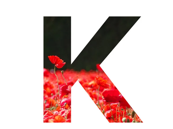 Буква Алфавита Сделана Красным Маком Торчащим Над Полем Маков Темным — стоковое фото