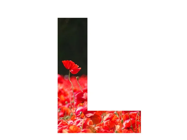 Letter Alphabet Made Red Poppy Sticking Out Field Poppies Dark — 图库照片