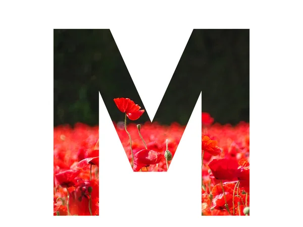 Letter Alphabet Made Red Poppy Sticking Out Field Poppies Dark — Stock Photo, Image