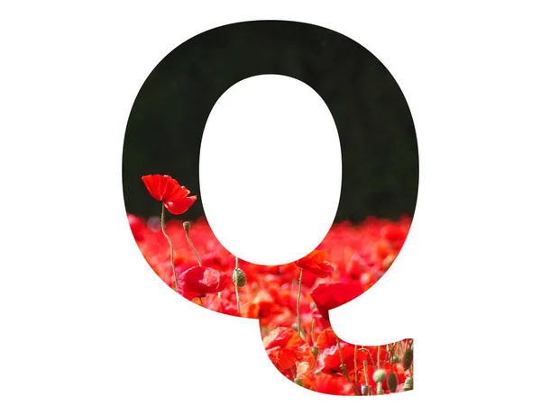 Letter Alphabet Made Red Poppy Sticking Out Field Poppies Dark — 图库照片