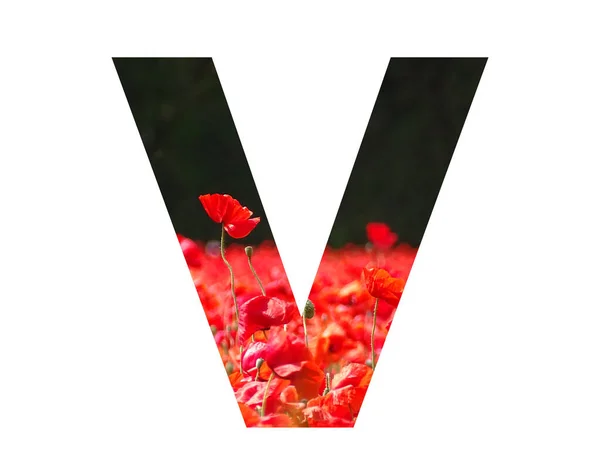 Letter Alphabet Made Red Poppy Sticking Out Field Poppies Dark — 스톡 사진