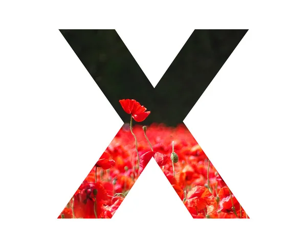 Letter Alphabet Made Red Poppy Sticking Out Field Poppies Dark — 图库照片