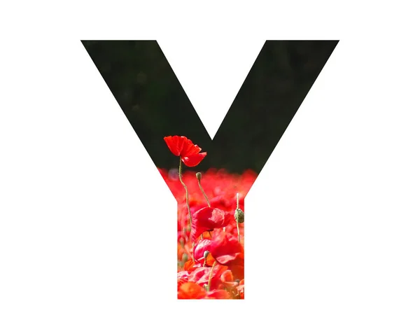 Letter Alphabet Made Red Poppy Sticking Out Field Poppies Dark — Φωτογραφία Αρχείου