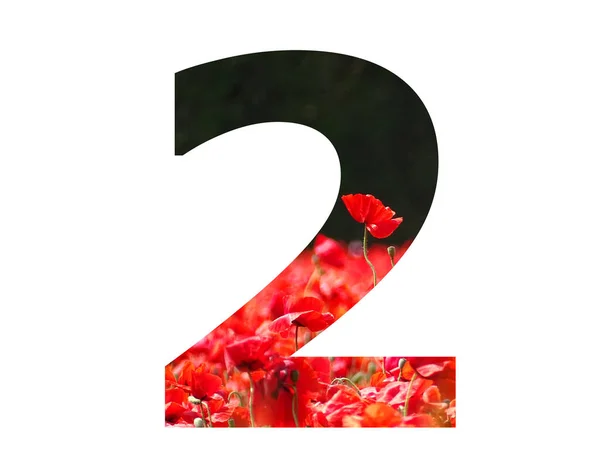 Number Alphabet Made Red Poppy Sticking Out Field Poppies Dark — Foto de Stock