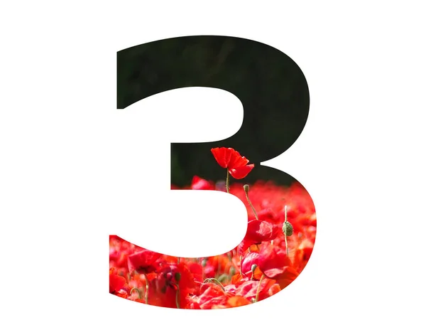Número Alfabeto Feito Com Uma Papoila Vermelha Saindo Acima Campo — Fotografia de Stock
