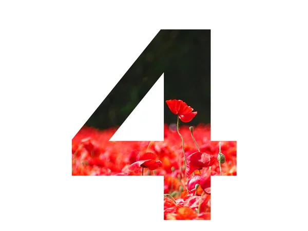 Number Alphabet Made Red Poppy Sticking Out Field Poppies Dark — 图库照片