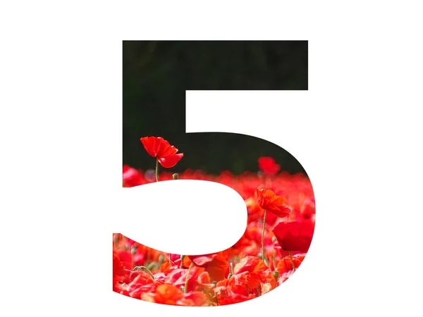 Číslo Abecedy Červeným Mákem Vyčnívajícím Nad Pole Máku Tmavým Pozadím — Stock fotografie