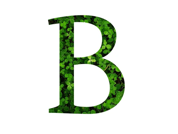 Ábécé Betűje Egy Lóhereföld Zöld Leveléből Készült Készült Zöld Színnel — Stock Fotó