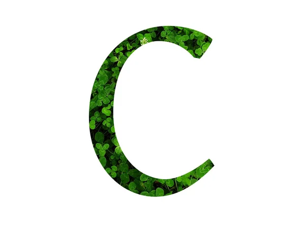 三叶草地绿叶组成的字母表的字母C 用绿色做的 — 图库照片