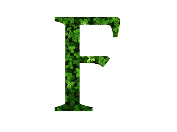 クローバー畑の緑の葉で作られたアルファベットの文字F 緑で作られた — ストック写真