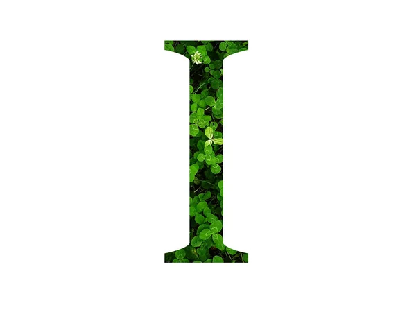 Літера Алфавіту Зроблена Зеленого Листа Конюшини Зроблені Зеленим Кольором — стокове фото