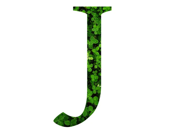 Bokstav Alfabetet Gjord Med Grönt Blad Ett Klöverfält Tillverkad Med — Stockfoto