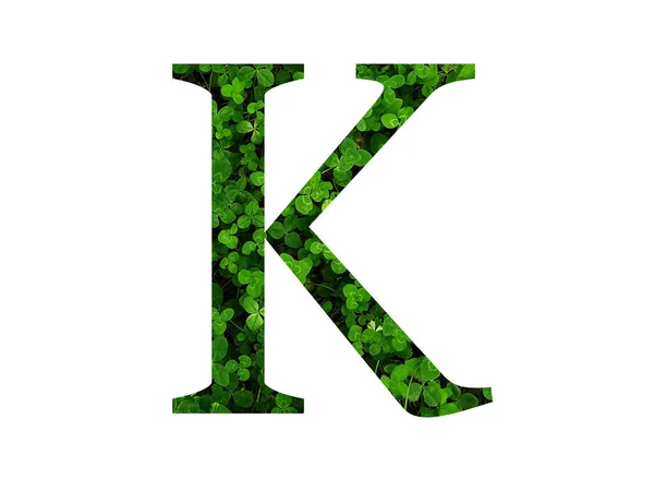 三叶草地绿叶组成的字母表字母K 用绿色做的 — 图库照片