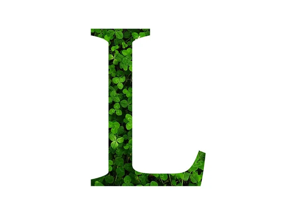 Buchstabe Des Alphabets Aus Grünem Kleeblatt Hergestellt Mit Der Farbe — Stockfoto