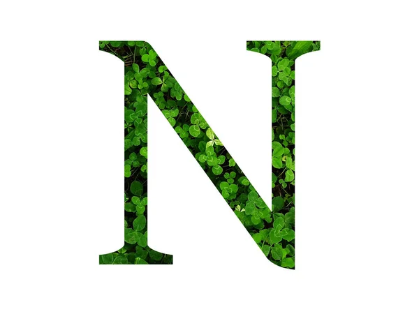 クローバー畑の緑の葉で作られたアルファベットの文字N 緑で作られた — ストック写真