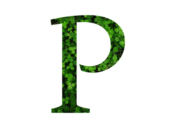 Písmeno Abecedy Zeleným Listem Jetelového Pole Vyrobeno Zelenou Barvou — Stock fotografie