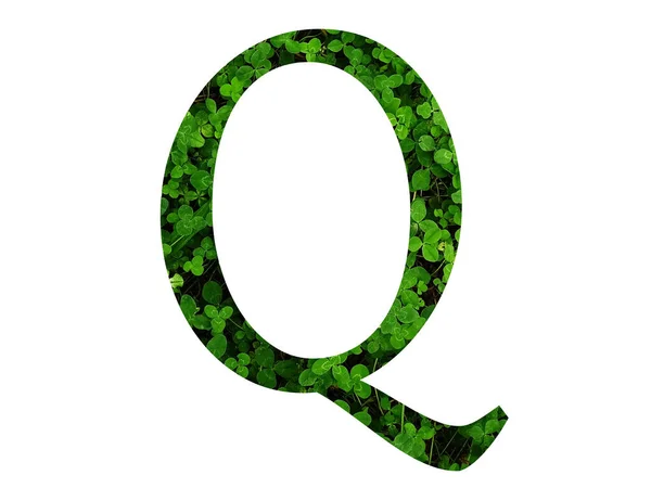 三叶草地绿叶组成的字母表的字母Q 用绿色做的 — 图库照片